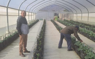 LOCAL COMMUNITY FOOD GARDEN PROJECT EXPANDS