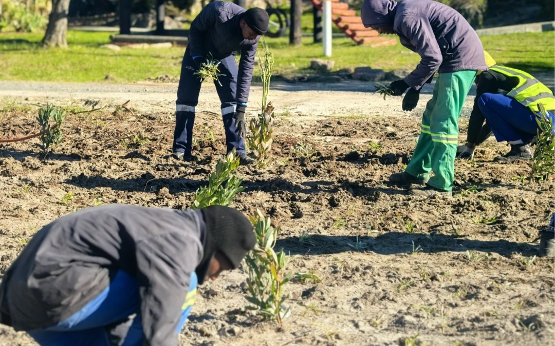 CONSERVATION PROGRAMME CREATES NEW EMPLOYMENT